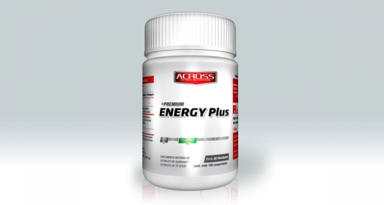 Energy Plus